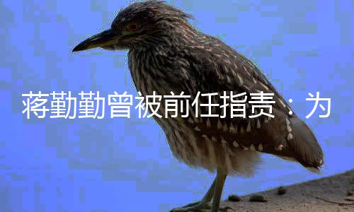 被前任指朋友勤曾前会么以为什有男责蒋勤